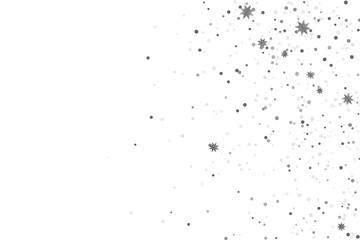 Silver glitter confetti.