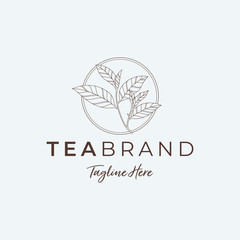 MINIMALIST TEA LEAF LOGO ILLUSTRATIONS