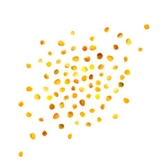 Bee Pollen, Perga, Flower Pollen Grains or Bee Bread