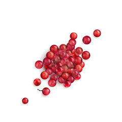 Red Peppercorn Seeds or Pink Pepper Corns Vector Illustration
