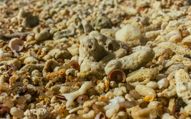 island beach sand covered many dead corrals