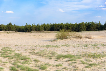 View of Bledow Desert in southern Poland