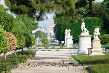 Obraz premium jardin tuileries