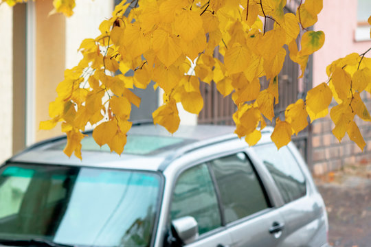 silver suv on the pavement. autumn weather with yellow foliage. legendary awd vehicle