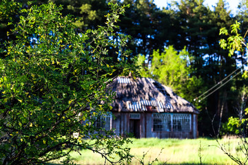 Fototapeta na wymiar An old abandoned house that lives now only in the photograph since it burned down