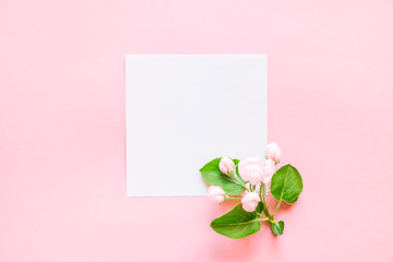 Summer and spring composition. Branch of a blossoming apple tree, white paper blank on pink background. Summer and spring concept. Flat lay, top view, copy space