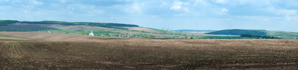 Fototapeta na wymiar big panorama of agricultural field with growing sugar beets and village at horizon