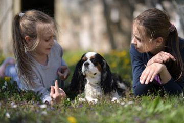 two girls playing with dog in grass