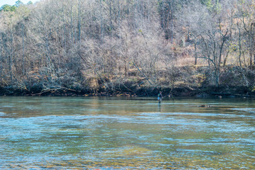 Fly fishing in the river
