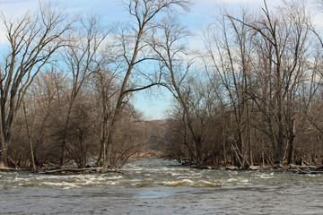 Beautiful View of the River