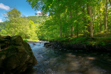 Obraz premium stream in the forest. beautiful nature background. peaceful scenery with water flow among rocks and beech trees in spring