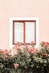 Flowers decorating window of a pink building