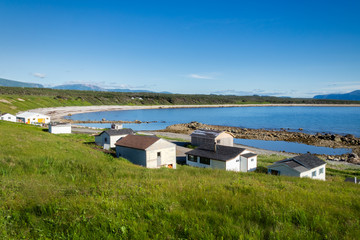 Fototapeta na wymiar Small coastal houses with grass and water