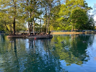 An island in a boating lake, with reflective blue water, and old trees, a late spring day in, Lister Park, Bradford, Yorkshire, England