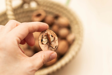 Child hands holding walnuts. Closeup