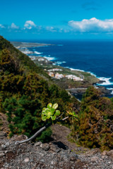 Tropical island of Tenerife. The coast of a Spanish city on the Atlantic ocean. Panorama of the city and beach on the island of Tenerife. Background color with gradient and grain, sound effect.