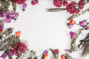 wild flowers on a white background with copy space