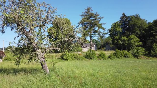 Davignac (Corr&egrave;ze, France) - Langle - Vue campagnarde