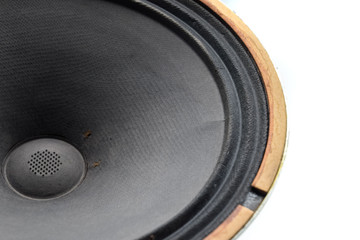 an Antique Soviet woofer 5gd-3 from vintage acoustics Symphony.