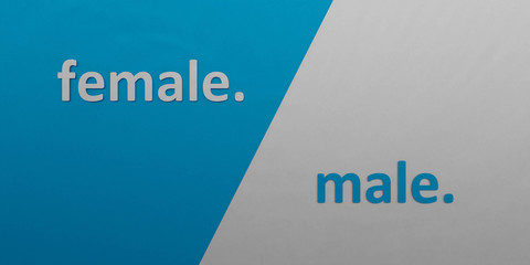 male and female words in letters blue and white colour contrast 2d illustration
