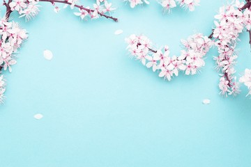 Spring background table. May flowers and April floral nature on blue. For banner, branches of blossoming cherry against background. Dreamy romantic image, landscape panorama, copy space.