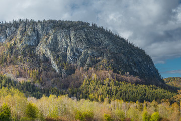 Typowy Skandynawski krajobraz, góry na zboczach których rosną drzewa