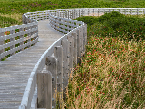 Wooden Boardwalk