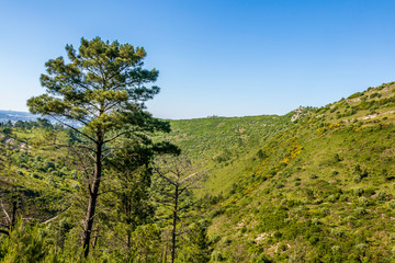 Scenic view of the mountain range of Aire and Candeeiros. Fórnea and Alvados area. Portugal