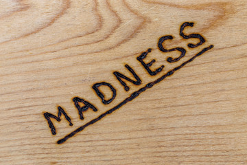 the word madness handwritten with woodburner on flat plywood surface in flat lay directly above...
