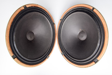 an Antique Soviet woofer 5gd-3 from vintage acoustics Symphony.