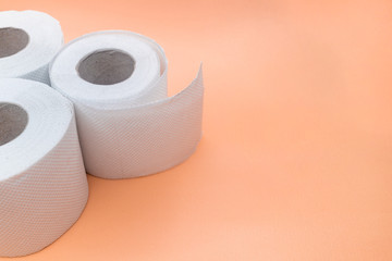 roll of toilet paper