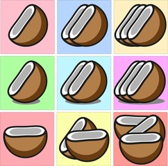 Fototapeta na wymiar Coconut fruits with shell and its milky white meat one two and three set with shadows image vector