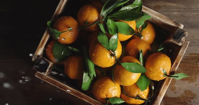 Tangerines with leaves in wooden box falling water drops.
