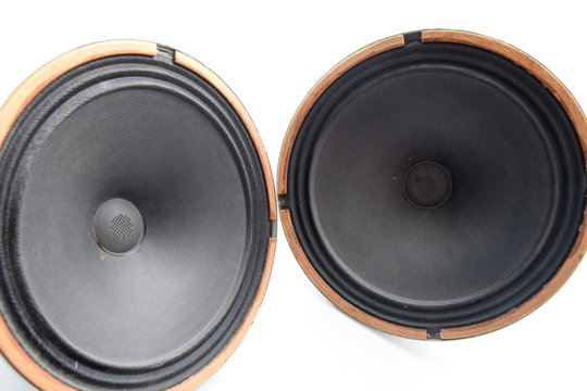 an Antique Soviet woofer 5gd-3 from vintage acoustics Symphony.