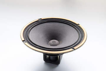 an Antique Soviet woofer 5gd-3 from vintage acoustics Symphony.