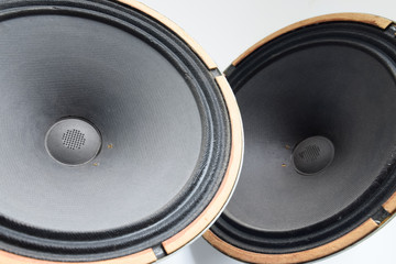 an Antique Soviet woofer 5gd-3 from vintage acoustics Symphony.
