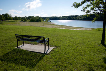 Fototapeta na wymiar View from the park bench at Milne Dam Conservation Park, Markham, Ontario, Canada...