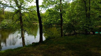 A pond surrounded by trees in the Świerklaniec park. A free entry space