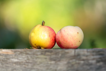 Two yellow-red apples on grey wooden table over shiny background
