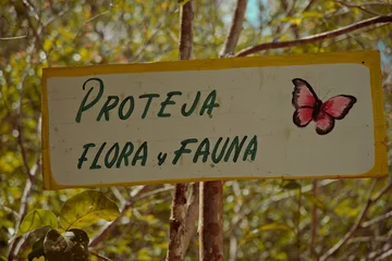 Foto auf Leinwand Kaan Luum Lagoon, Tulum, Riviera Maya / Mexico - Apr 2017  New sign to improve Place safety and protect animals, illustrative © Arturo Verea