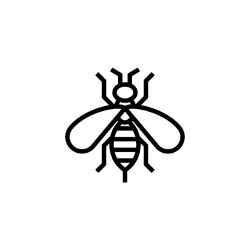 Wasp vector icon, wasp icon symbol sign in outline, lineart style on white background