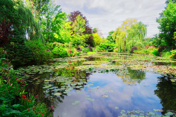 Pond with lilies in Giverny