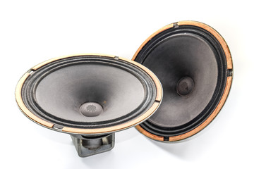 an Antique Soviet woofer 5gd-3 from vintage acoustics Symphony.