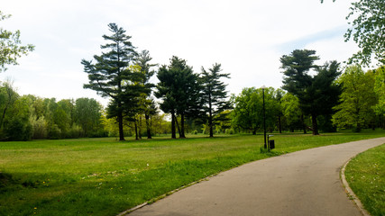 
Trees and alleys in the Świerklaniec park. Free entry space