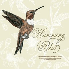 Retro style hummingbird hand-drawn illustration with botanical elements in the background.	