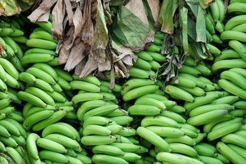 Green row banana in Thai market