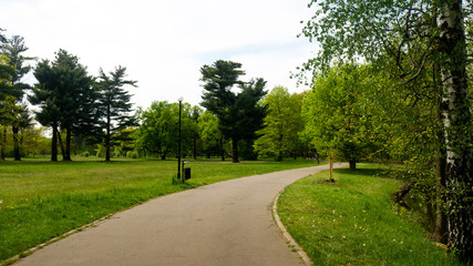
Trees and alleys in the Świerklaniec park. Free entry space