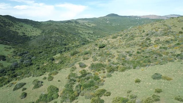 AERIAL DRONE SMOOTH FORWARD THROUGH NATURAL PARK GREEN VALLEY IN ANDALUCIA, SPAIN 