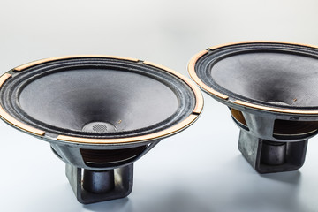 an Antique Soviet woofer 5gd-3 from vintage acoustics Symphony.
