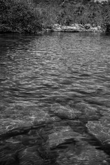 Clear and mossy water of a lagoon with rocks at the bottom 